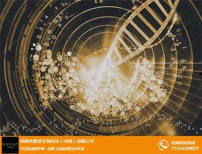 纳米在线观看,探索微观世界的奥秘之旅