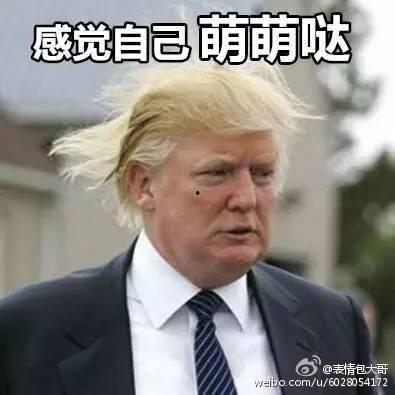 特朗普大爆料完整视频,揭秘完整视频背后的惊人内幕